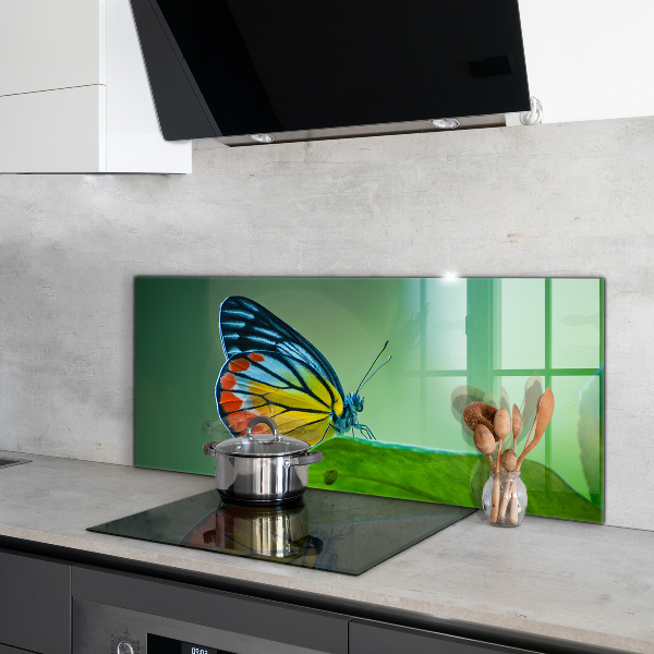 Kitchen splashback Butterfly resting on a leaf