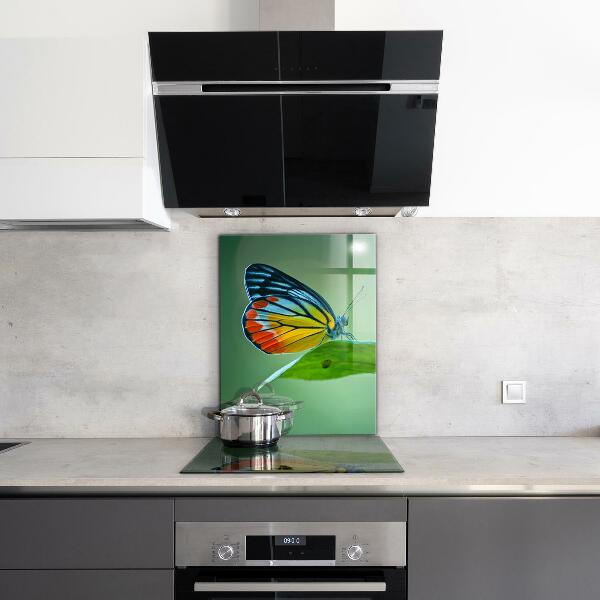 Kitchen splashback Butterfly resting on a leaf