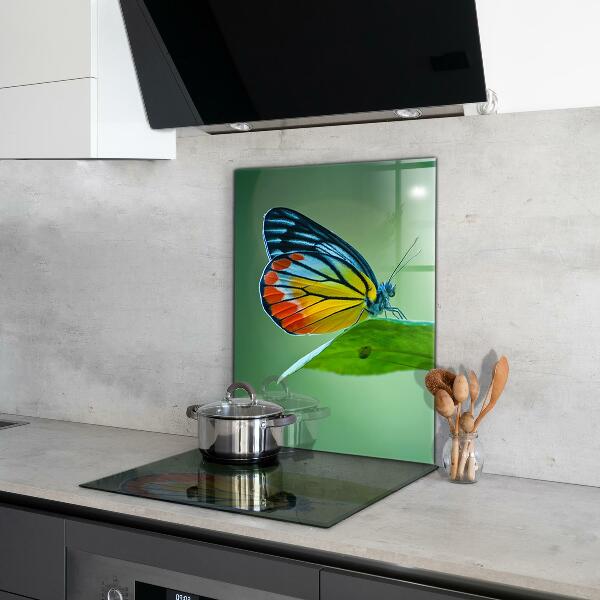 Kitchen splashback Butterfly resting on a leaf