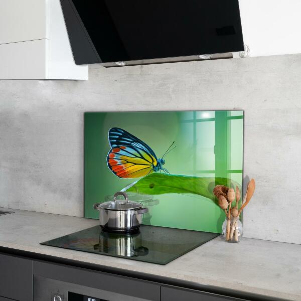 Kitchen splashback Butterfly resting on a leaf