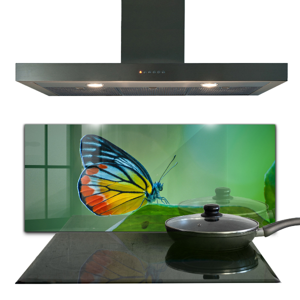 Kitchen splashback Butterfly resting on a leaf