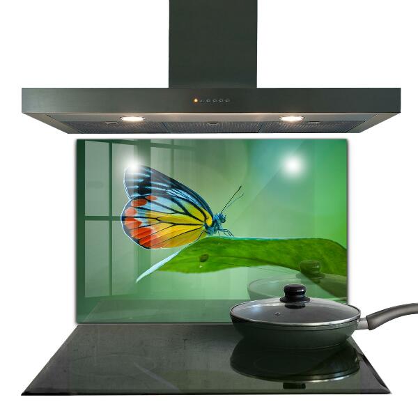 Kitchen splashback Butterfly resting on a leaf