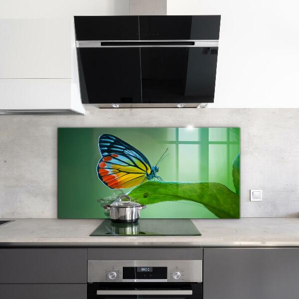 Kitchen splashback Butterfly resting on a leaf