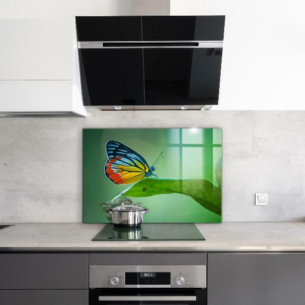 Kitchen splashback Butterfly resting on a leaf