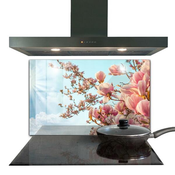 Kitchen splashback Blooming magnolia