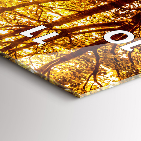 Vertical wall clock Forest landscape in the sun