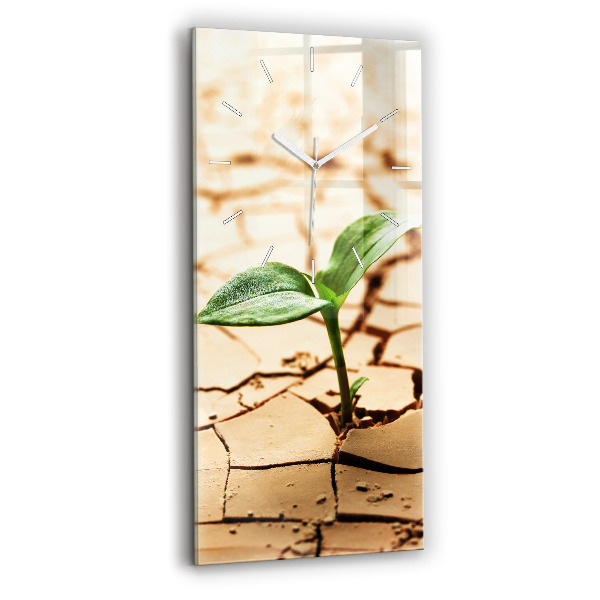 Vertical wall clock Plant in dry soil