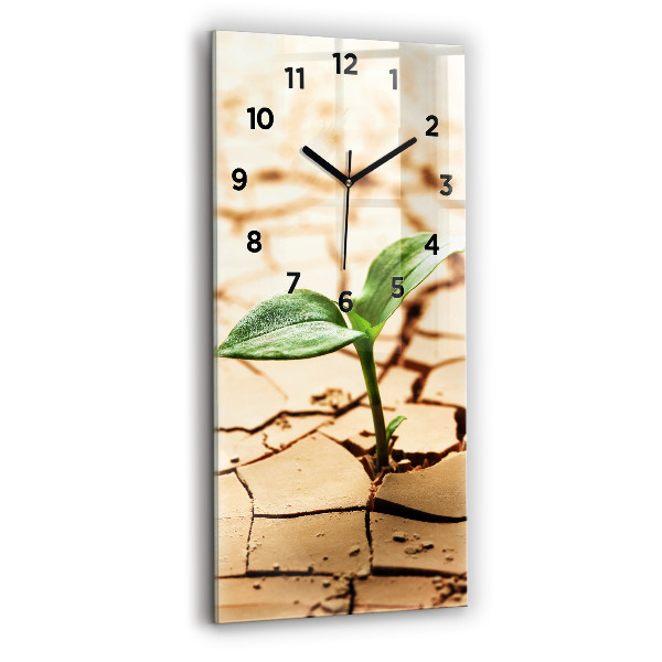 Vertical wall clock Plant in dry soil