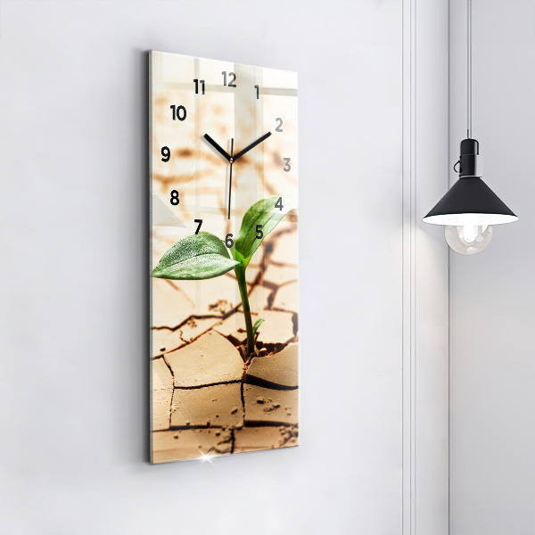 Vertical wall clock Plant in dry soil