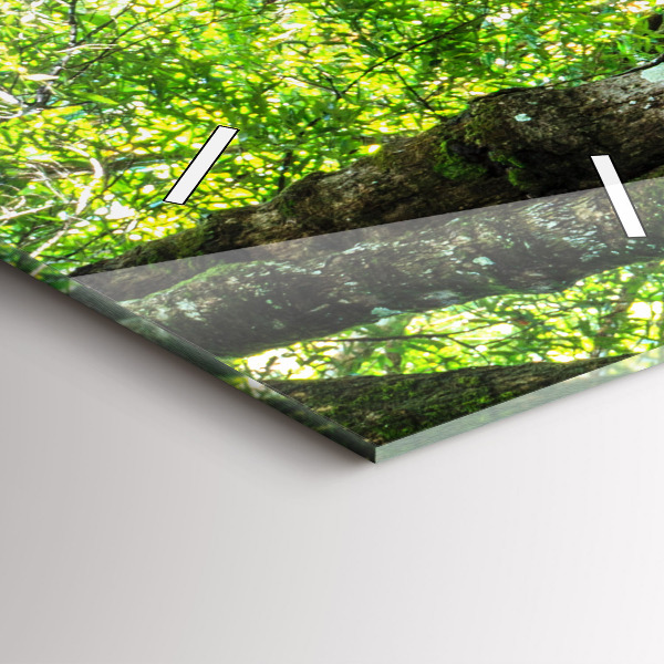 Vertical wall clock Waterfall in the forest