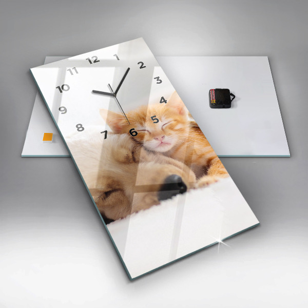 Vertical wall clock Sleeping cat and dog