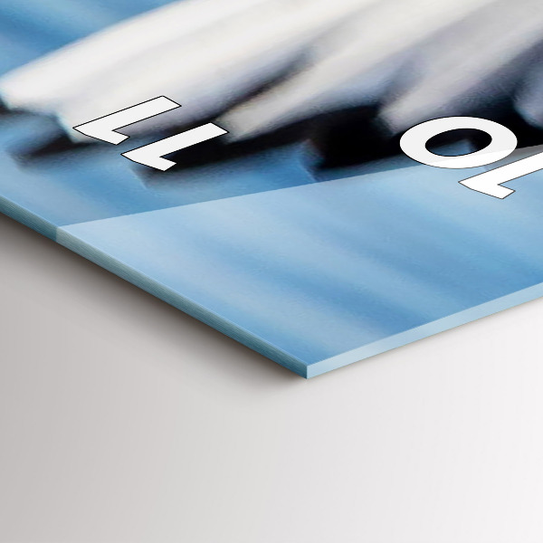 Vertical wall clock Seagulls in Gdynia