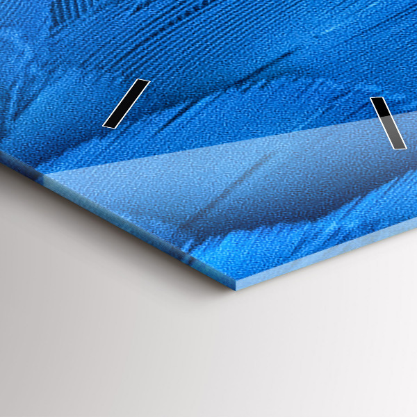 Vertical wall clock Bird feather