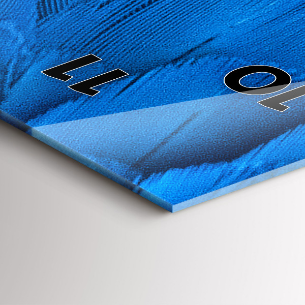 Vertical wall clock Bird feather