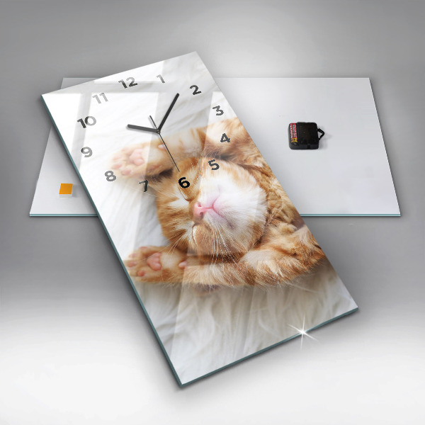 Vertical wall clock Sleeping little kitten