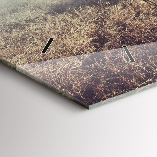 Horizontal wall clock Zebra – Abstraction