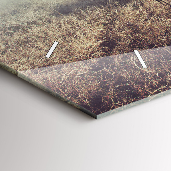 Horizontal wall clock Zebra – Abstraction