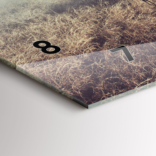 Horizontal wall clock Zebra – Abstraction