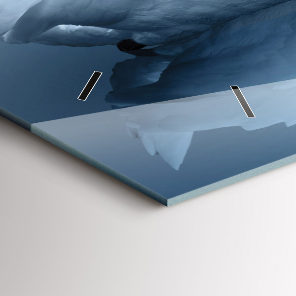 Horizontal wall clock Swans in the heart