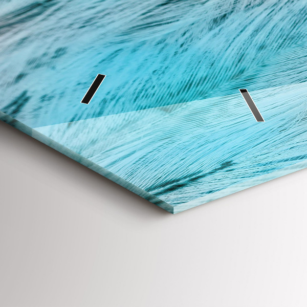 Horizontal wall clock Colorful feathers