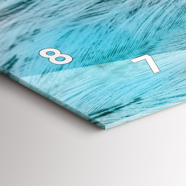 Horizontal wall clock Colorful feathers