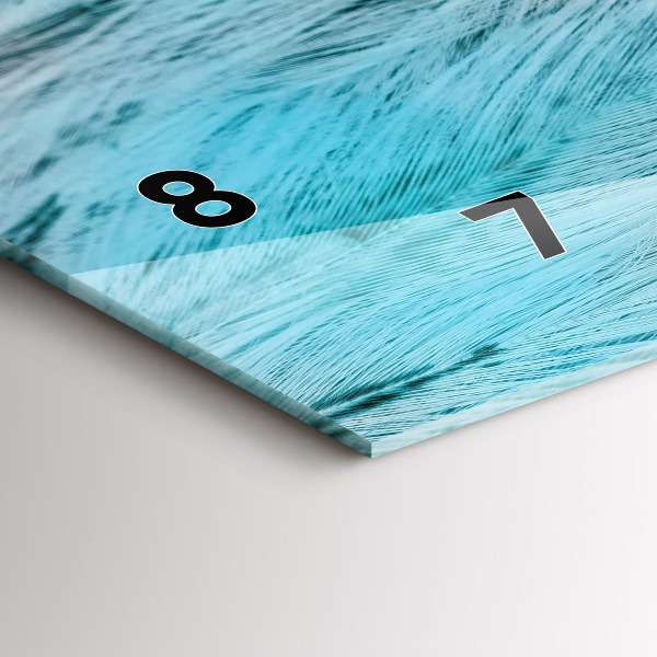 Horizontal wall clock Colorful feathers