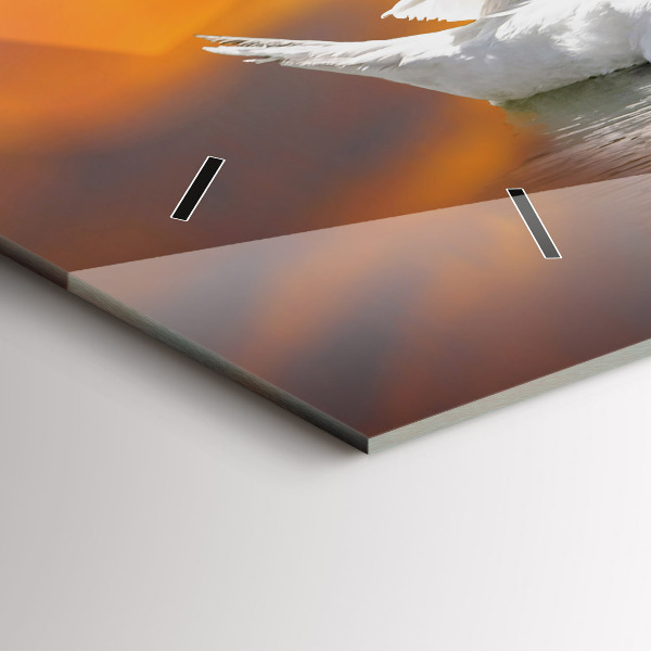 Horizontal wall clock Swans in Love