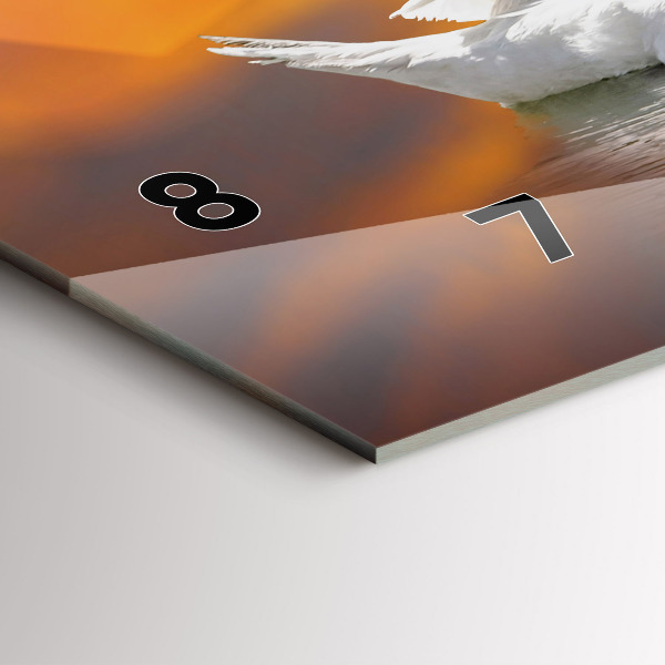 Horizontal wall clock Swans in Love