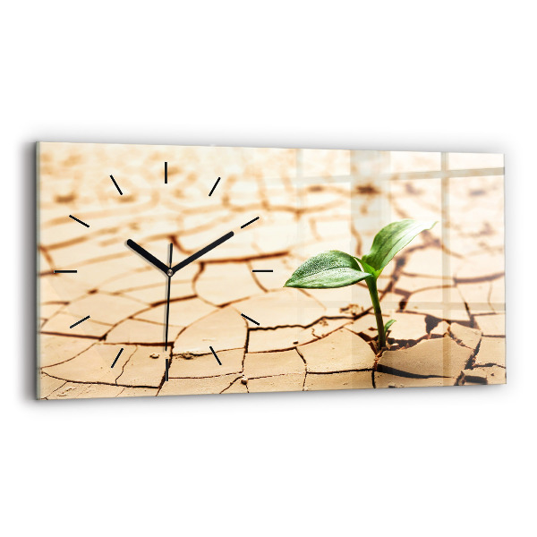 Horizontal wall clock A plant in dried-out soil