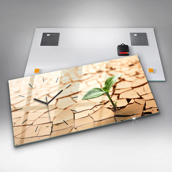 Horizontal wall clock A plant in dried-out soil
