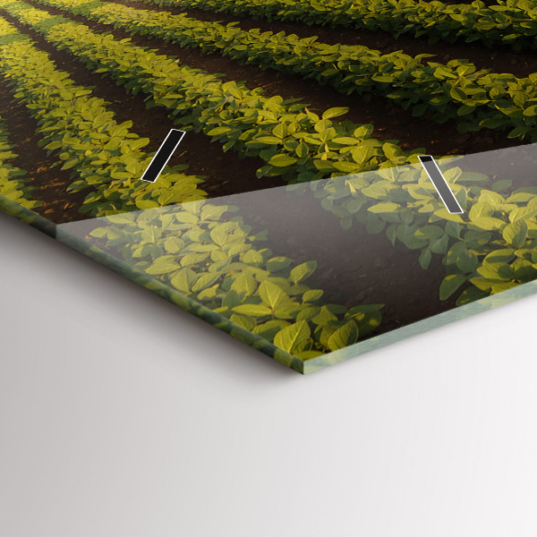 Horizontal wall clock Tractor spraying a field