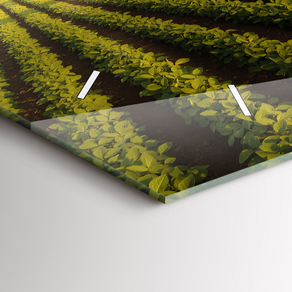 Horizontal wall clock Tractor spraying a field