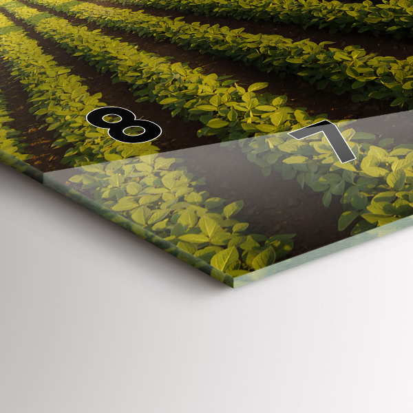 Horizontal wall clock Tractor spraying a field