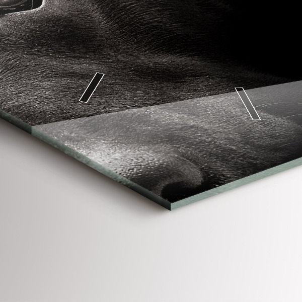 Horizontal wall clock Scottish Fold Dog and Cat