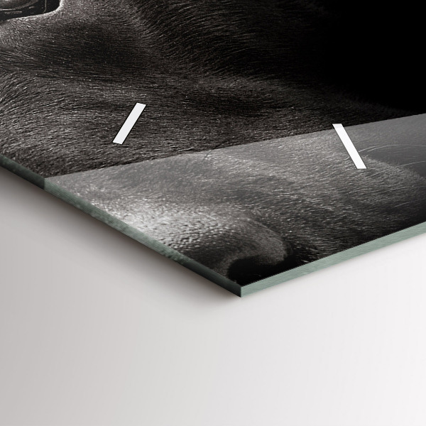 Horizontal wall clock Scottish Fold Dog and Cat