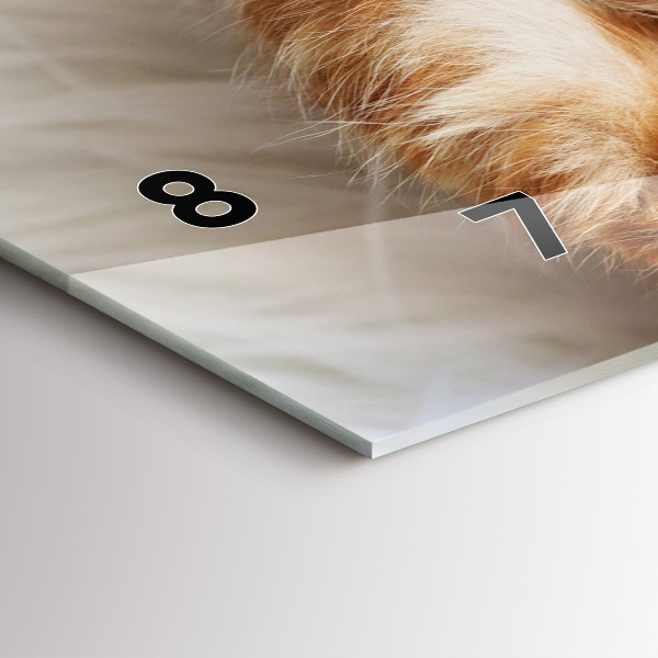 Horizontal wall clock Little Sleeping Kitten