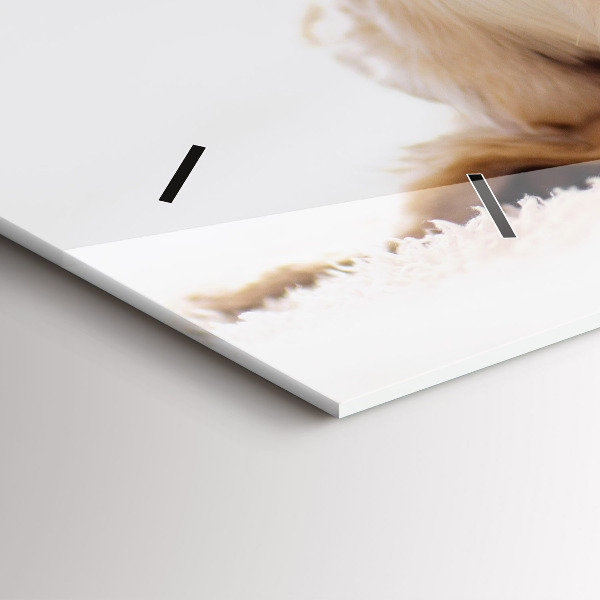 Horizontal wall clock Sleeping cat and dog