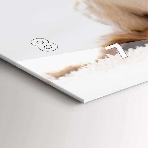 Horizontal wall clock Sleeping cat and dog