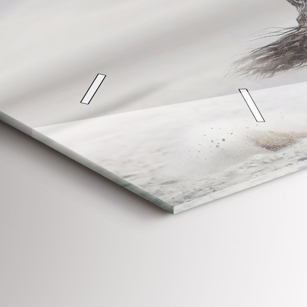 Horizontal wall clock Galloping white horse