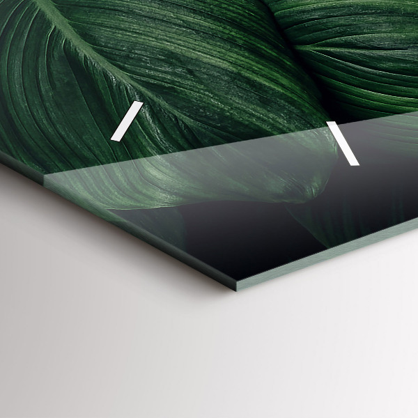 Horizontal wall clock Tropical Monstera