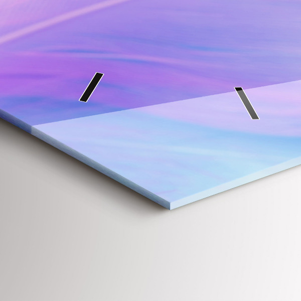 Horizontal wall clock Colorful feathers