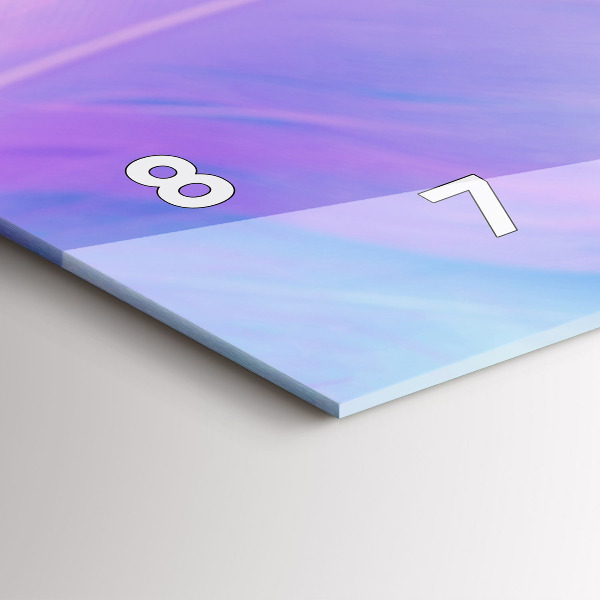 Horizontal wall clock Colorful feathers