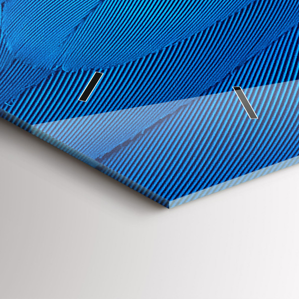 Horizontal wall clock Bird feather