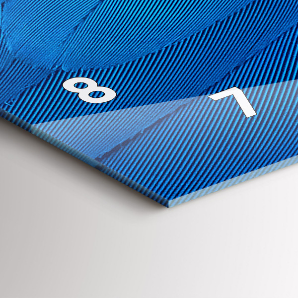 Horizontal wall clock Bird feather