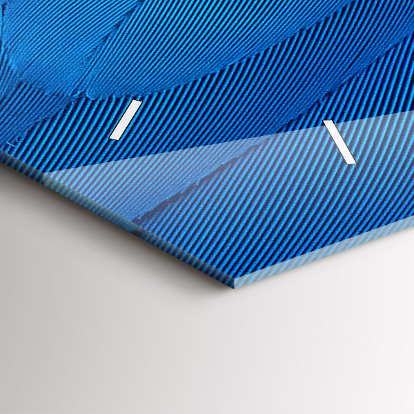 Horizontal wall clock Bird feather