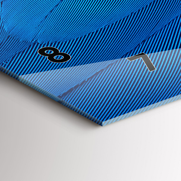 Horizontal wall clock Bird feather