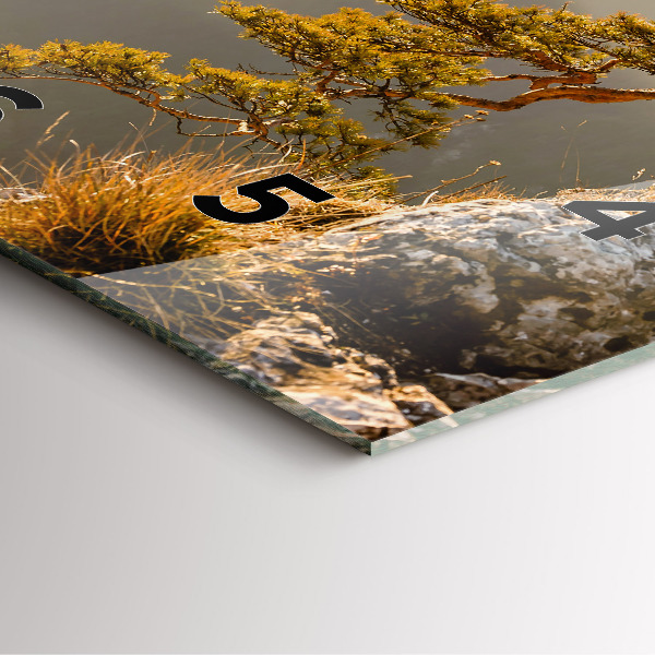 Square wall clock A tree in the mountains