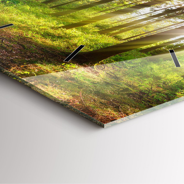 Square wall clock Forest sunrise