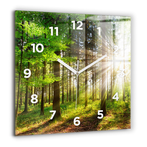 Square wall clock Forest sunrise