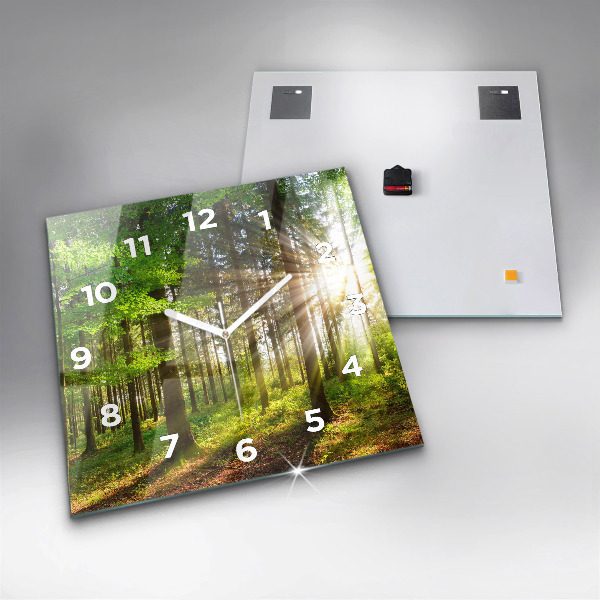 Square wall clock Forest sunrise